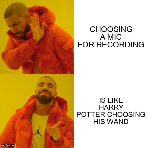 Choosing a mic for recording...Is like Harry Potter choosing his wand